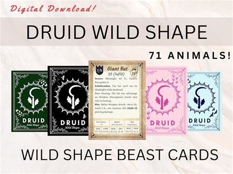 wild shape 5e.